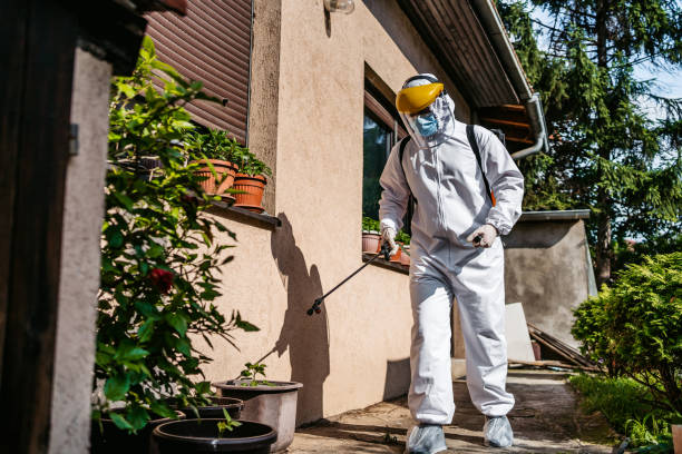 Best Ant Control Services  in Barnesville, OH