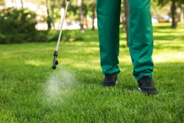 Best Exterminator Services  in Barnesville, OH