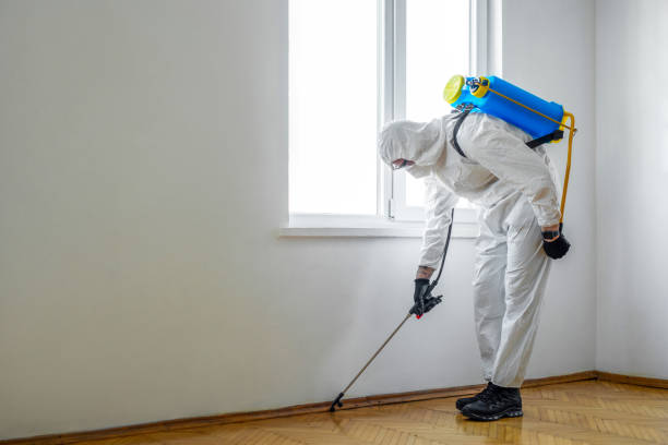 Best Termite Control Services  in Barnesville, OH