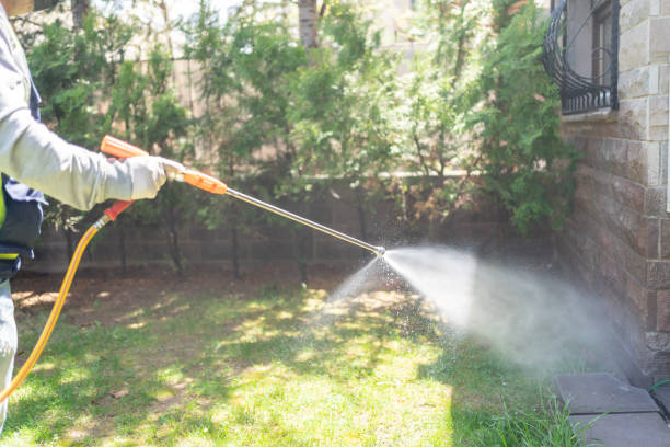 Best Best Pest Control Companies  in Barnesville, OH