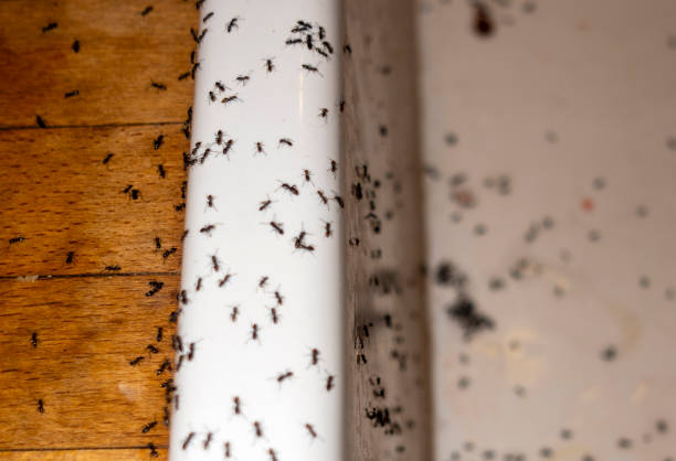 Barnesville, OH Pest Control Company