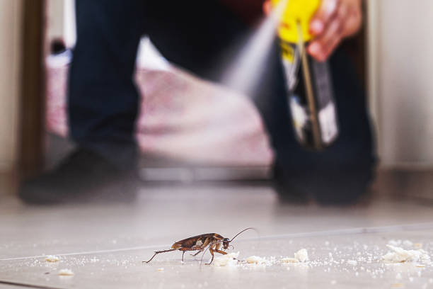 Best Emergency Pest Control  in Barnesville, OH
