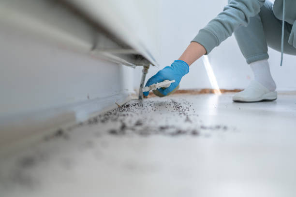 Insect Control in Barnesville, OH